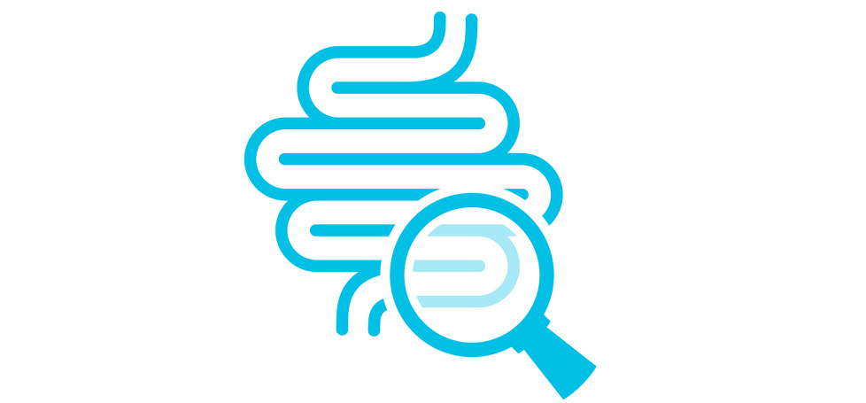 pictured: a stylized icon of a large intestine examined by a magnifying glass icon